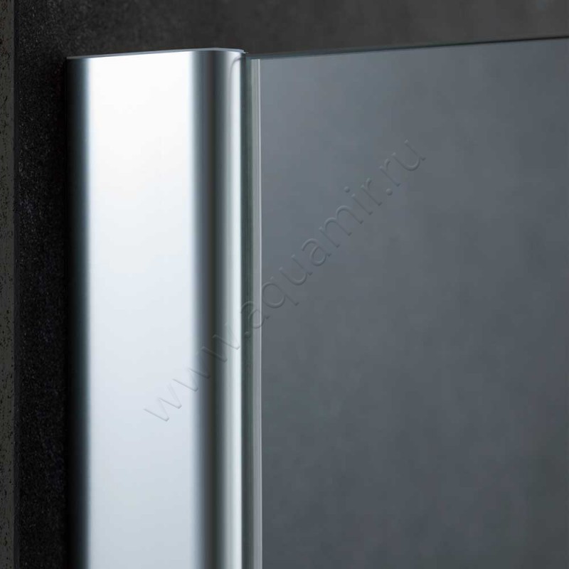 Маятниковая душевая дверь для боковой стенки Kermi Pasa XP PX1GL15020VPK в интерьере